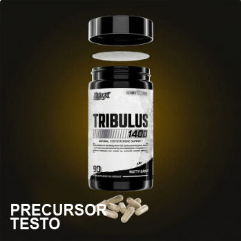 Precursor Testo