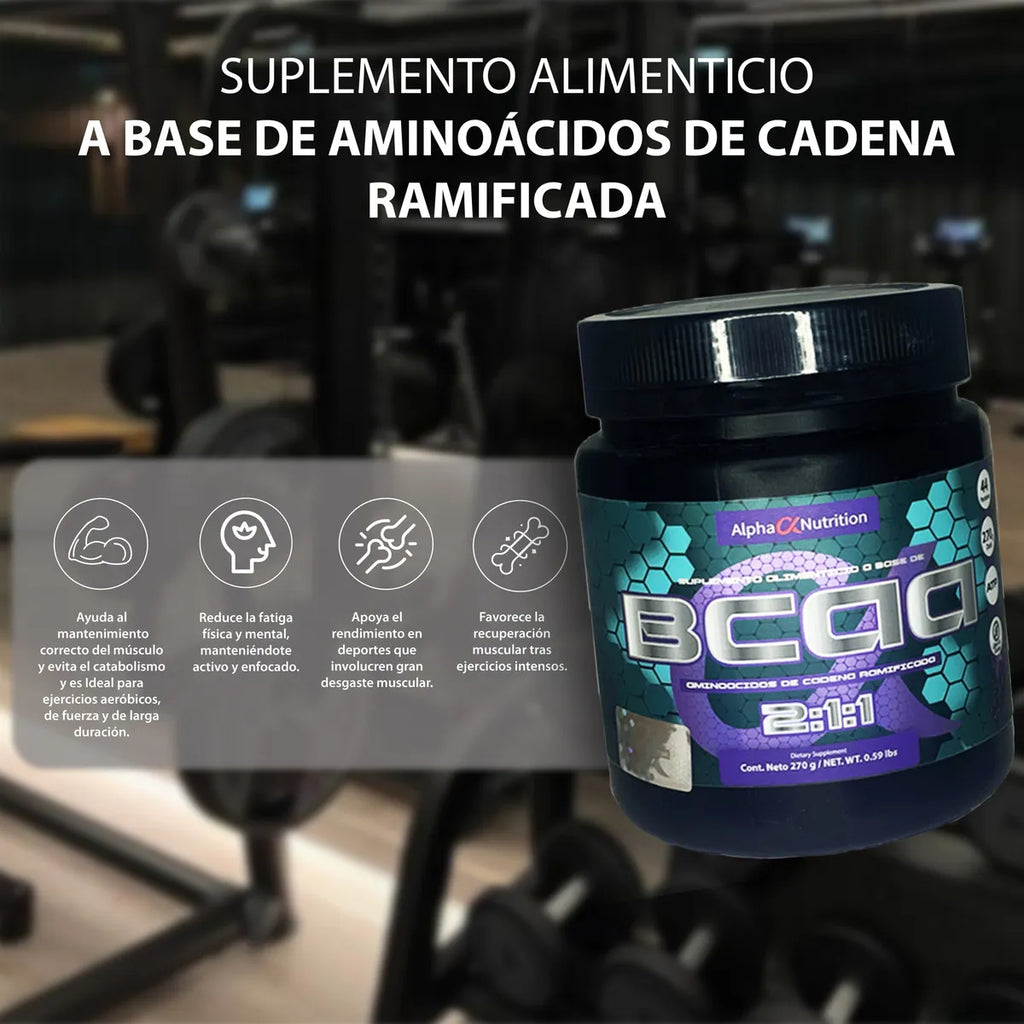 BCAA 2.1.1 100SERV - ALPHA NUT