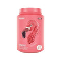 FITMINGO VEGAN PROTEIN 1.02KG - BIRDMAN